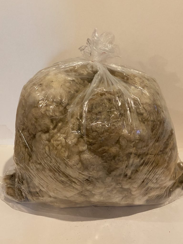 raw wool fleece